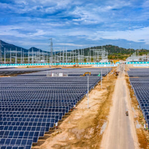 to-hop-dien-trung-nam-ninh-thuan